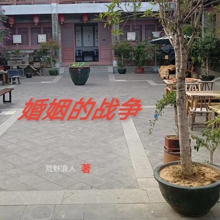 婚姻战争剧情简介