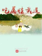 全属性武道等级划分