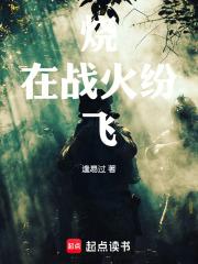 战火纷飞是成语吗