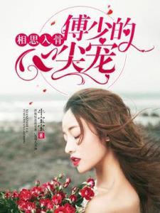 女主名叫傅相思的