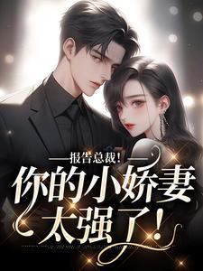 报告总裁您的爱妻跑了