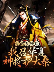 我苏醒了华夏神明