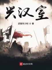 兴汉室武陵年少时TXT