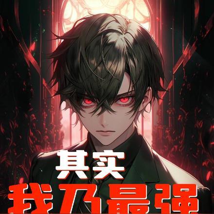 其实我乃最强轻文库