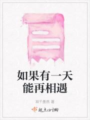 如果有一天能再见这首歌叫什么