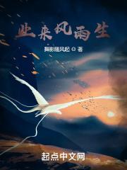 来风雨声