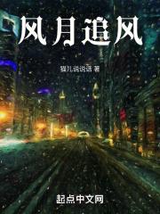 追风月影
