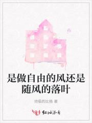 随风自由是方向歌词