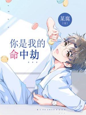 你是我的命中劫免费阅读