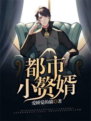 都市赘婿类完结排行榜