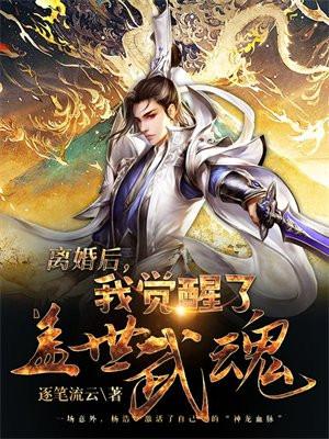 我觉醒了盖世武魂by逐笔流云