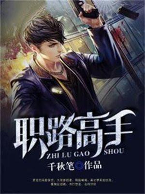 职业高手动漫第二季