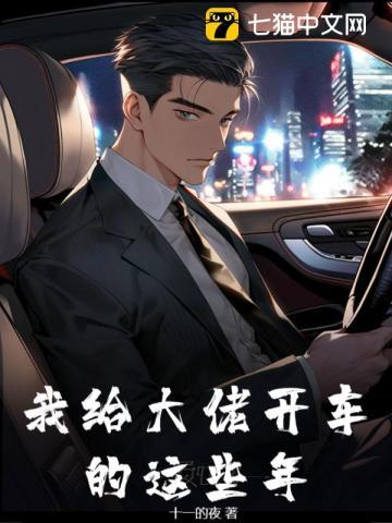 我给大佬开车的这些年 第29章