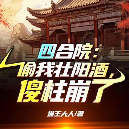 四合院偷我文件