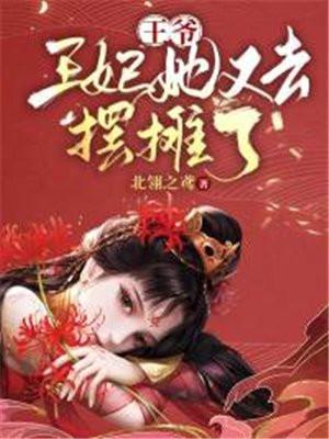 王爷王妃又去打劫了免费阅读