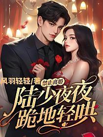禁止离婚!陆少夜夜跪地轻哄 风羽轻轻