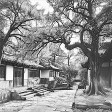 账房先生留名最简单三个步骤