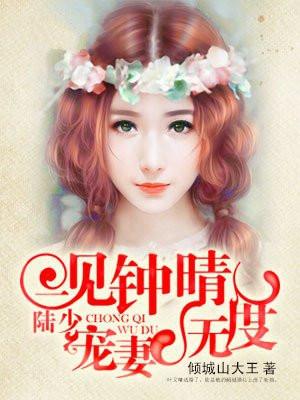 一见钟情喜欢你陆景明