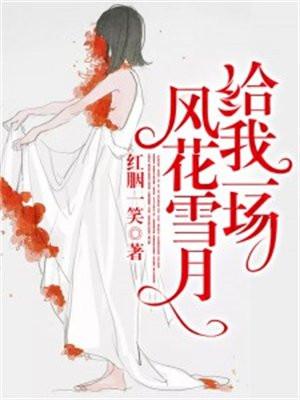 给我一场风花雪月免费