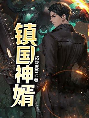 镇国神婿演员表