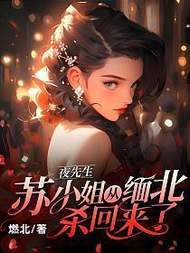 苏小姐从缅北杀回来了有声安翊山