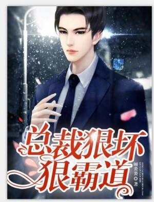 总裁狠坏狠霸道1v1h