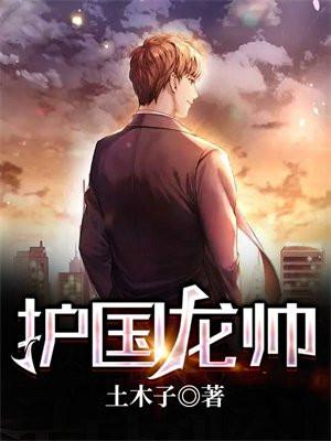 护国龙帅凌萧风