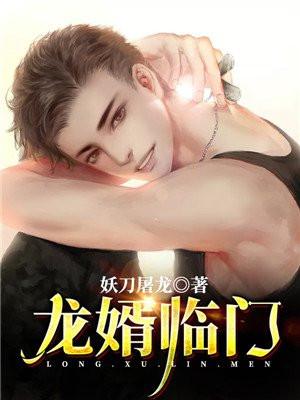 龙婿临门人来风