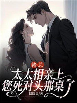 诸太太离婚无效免费阅读