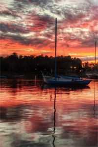 青云知我意直上九重天