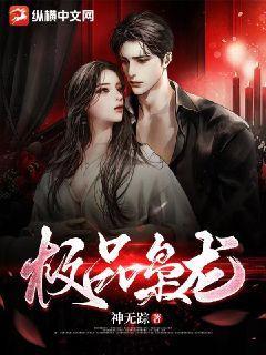 极品枭龙叶问天几个老婆