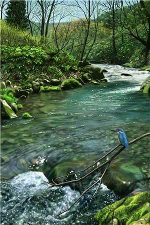 王亮郑翠兰免费全文阅读