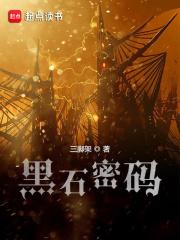 黑石密码讲的是什么