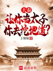 大秦从挖地道开始无弹窗