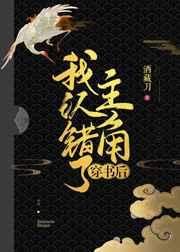 穿书后我认错了主角讲的什么