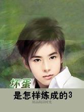 坏蛋是怎样炼成的3在线听书