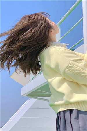 林书音霍枭辰全文免费