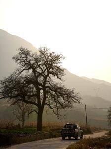 走向辉煌歌曲校歌