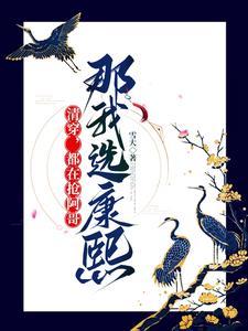 清穿康熙和阿哥都爱女主