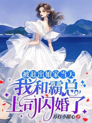 我和霸总上司闪婚了作者苏达小甜心