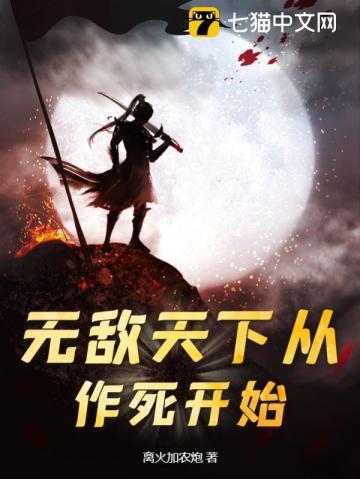 无敌天下从加点