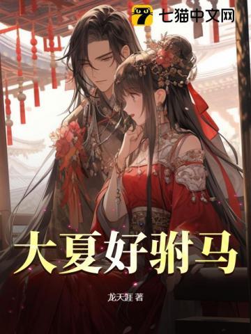 大夏驸马秦云短剧免费观看