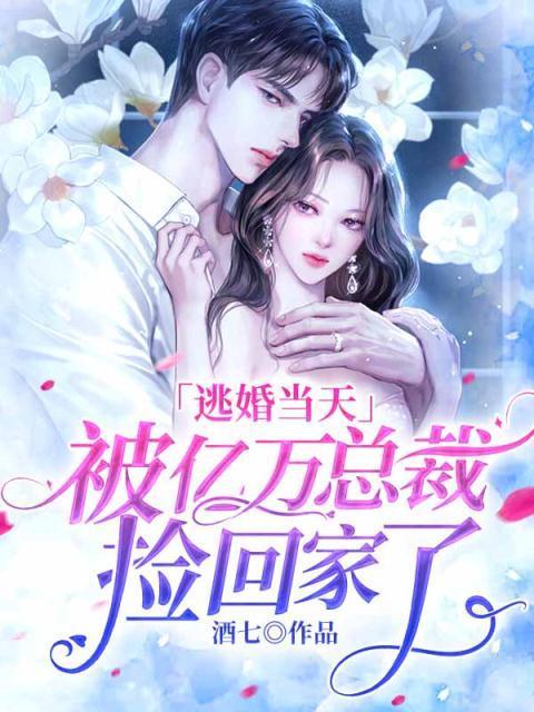 逃婚被总裁抓回来