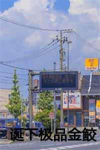 我杀疯了共几章