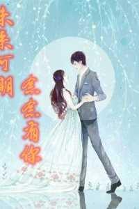 樱桃电视剧东东和山菊结局