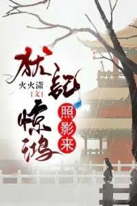 犹记惊鸿照影简介