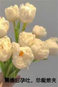 总裁前夫追疯了 txt全本