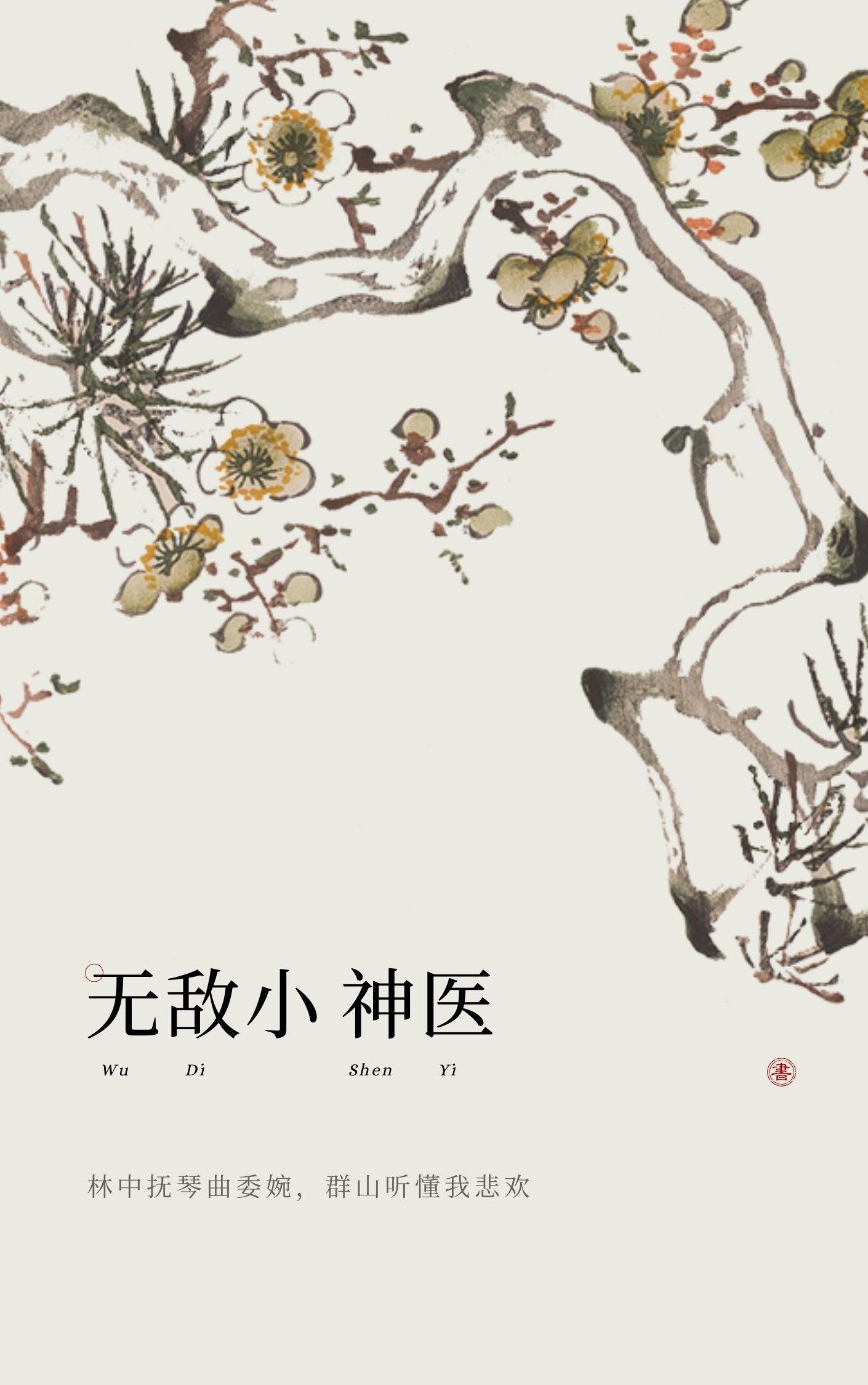 山村妙手无敌小神医