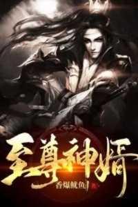 至尊神婿百度百科