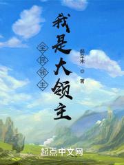 全民领主:我是大领主